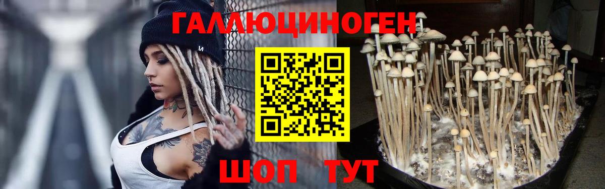Псилоцибиновые грибы мухоморы  Вход с VPN  Псилоцибиновые грибы Magic Shrooms  Сальск 
